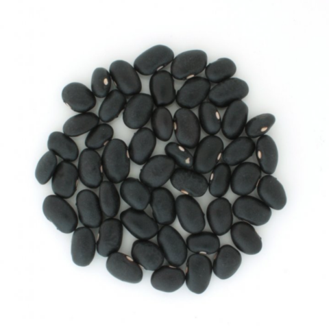 černá fazole